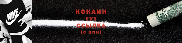 твердый Пересвет