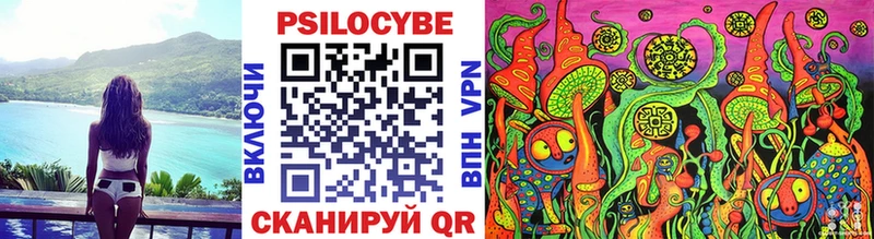 Купить  Харабали  Псилоцибиновые грибы Cubensis 